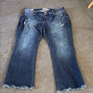 Torrid flare dark jeans...size 20 short